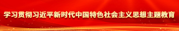 舔穴在线观看学习贯彻习近平新时代中国特色社会主义思想主题教育